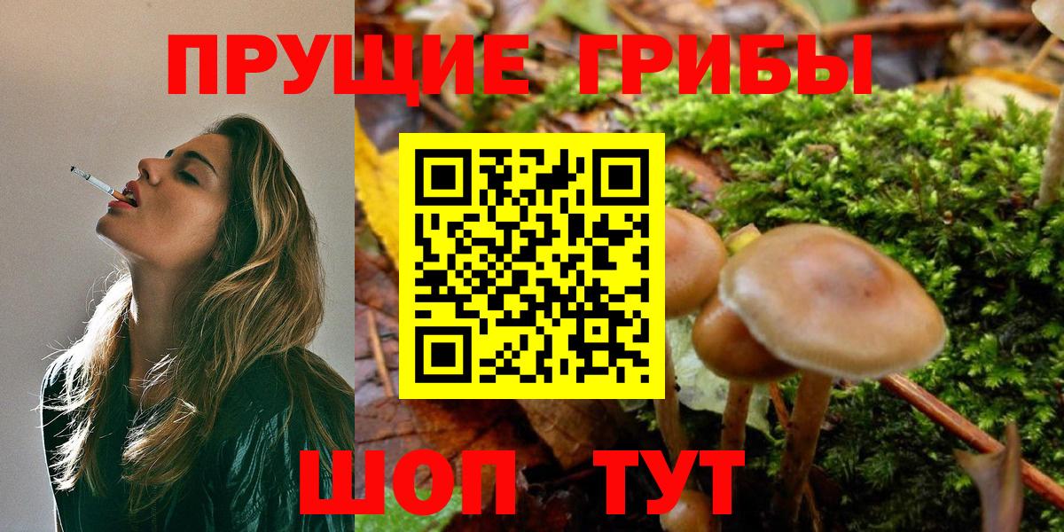 Псилоцибиновые грибы GOLDEN TEACHER Лабинск